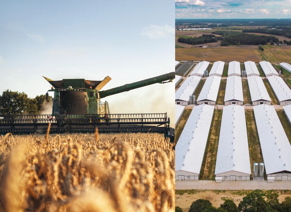 Máquinas, Equipamentos e Benfeitorias